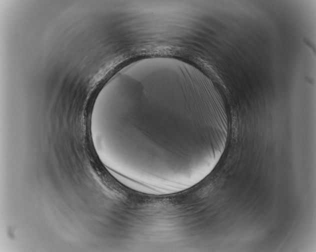 X0000099560674200806131234