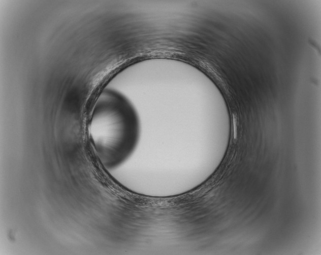 X0000099560675200806131234