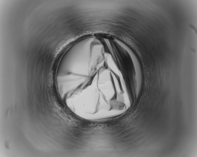 X0000099560676200806131234