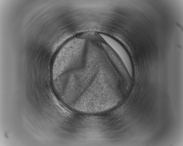 X0000099560677200806131234