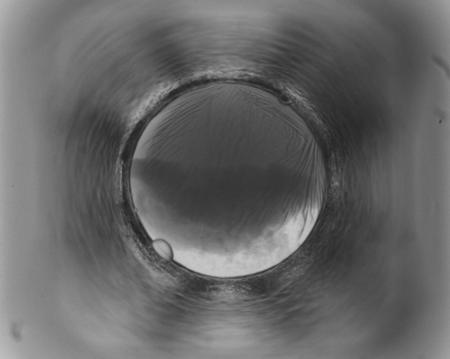 X0000099560678200806131234