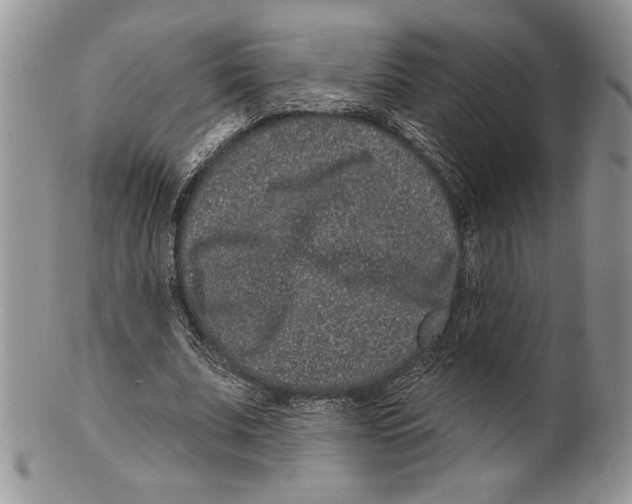 X0000099560679200806131234