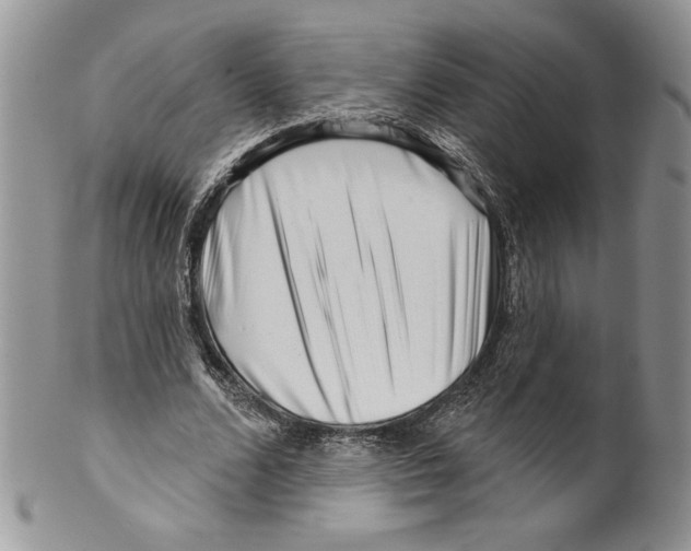 X0000099560680200806131234