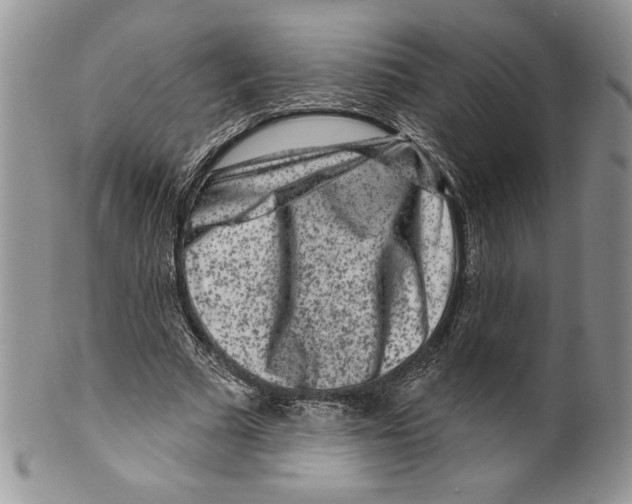 X0000099560681200806131234