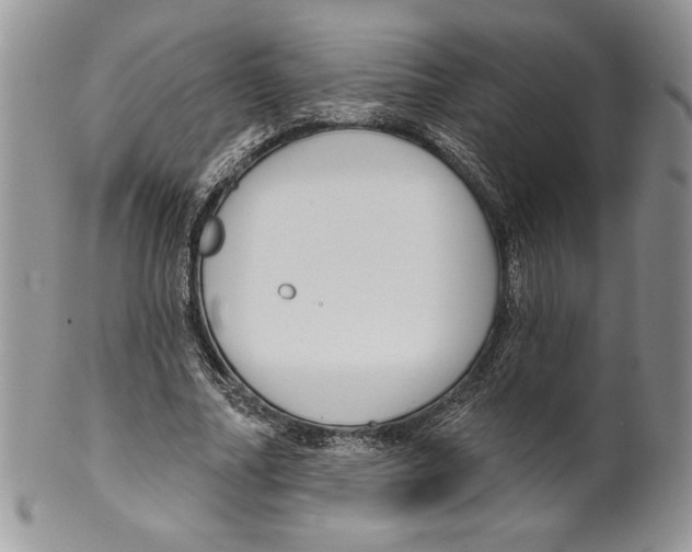 X0000099560682200806131234