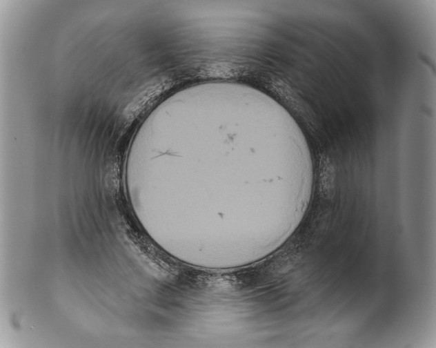 X0000099560683200806131234