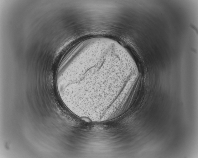 X0000099560684200806131234