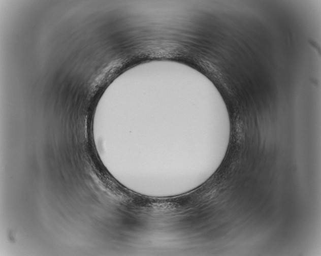 X0000099560686200806131234