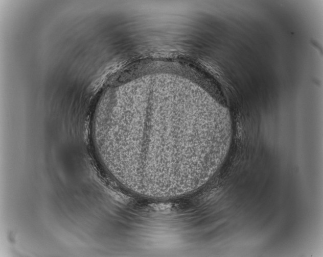 X0000099560687200806131234