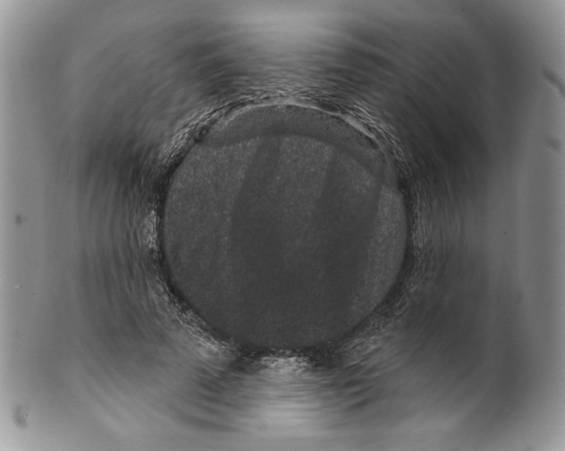 X0000099560689200806131234