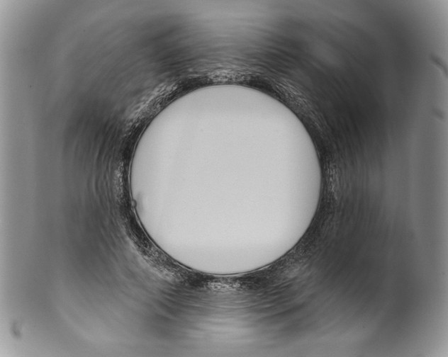 X0000099560690200806131234