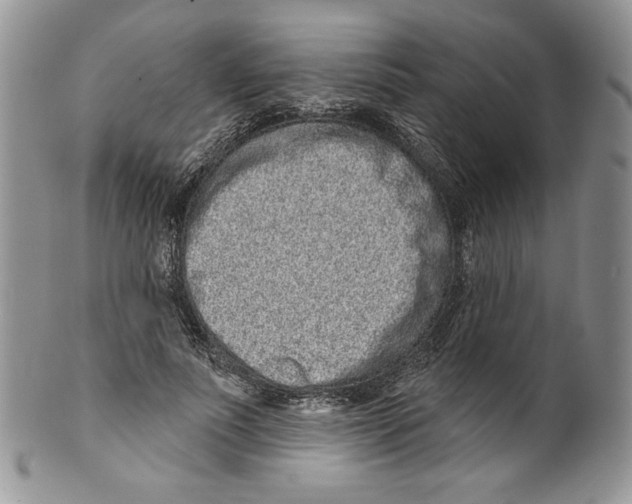 X0000099560691200806131234