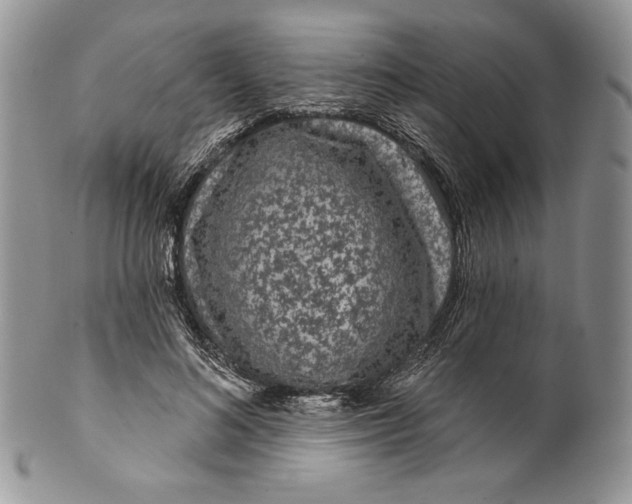 X0000099560692200806131234