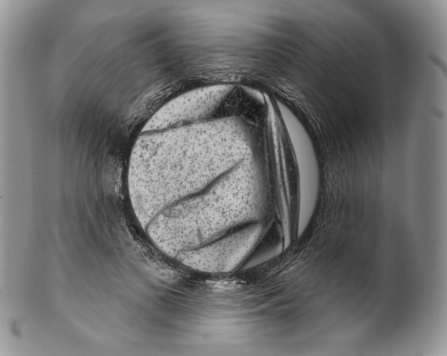 X0000099560693200806131234