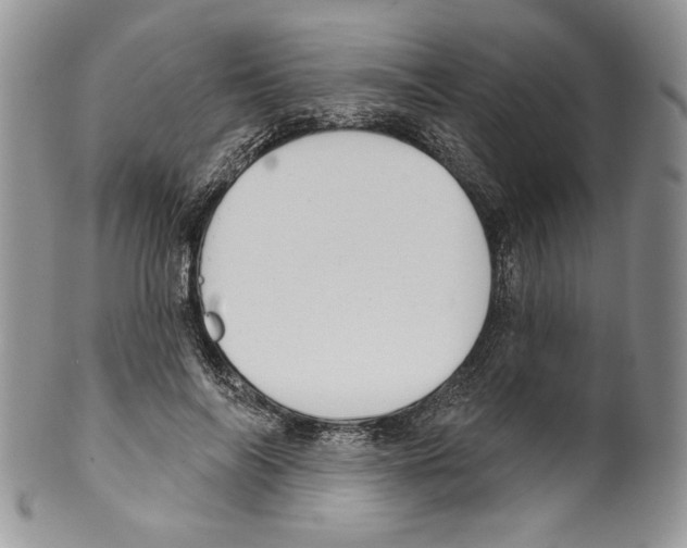 X0000099560694200806131234