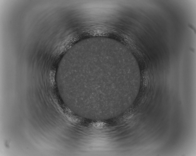 X0000099560695200806131234