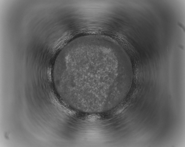 X0000099560696200806131234