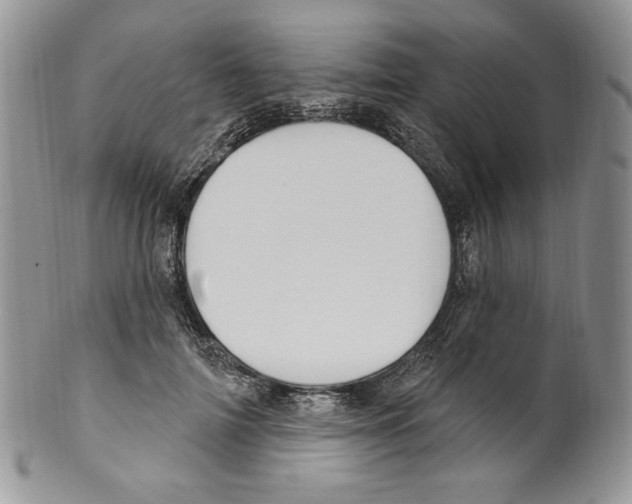 X0000099560698200806131234