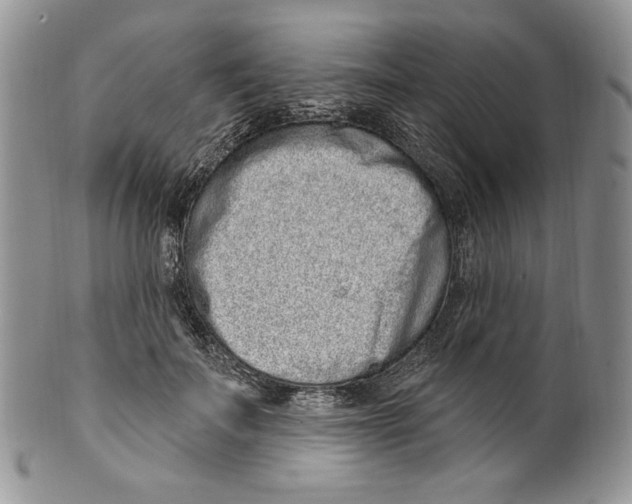 X0000099560699200806131234