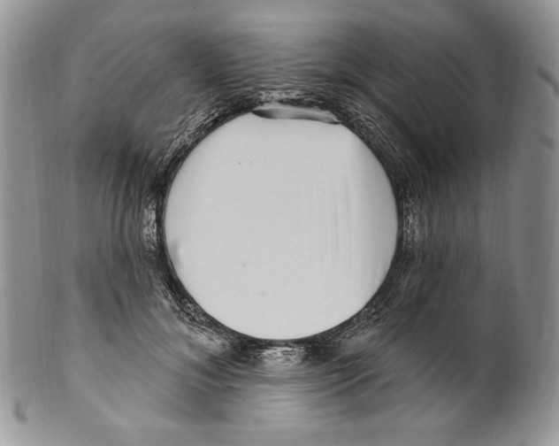 X0000099560700200806131234