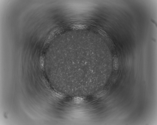 X0000099560701200806131234