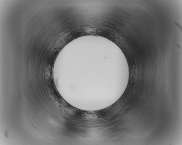 X0000099560702200806131234