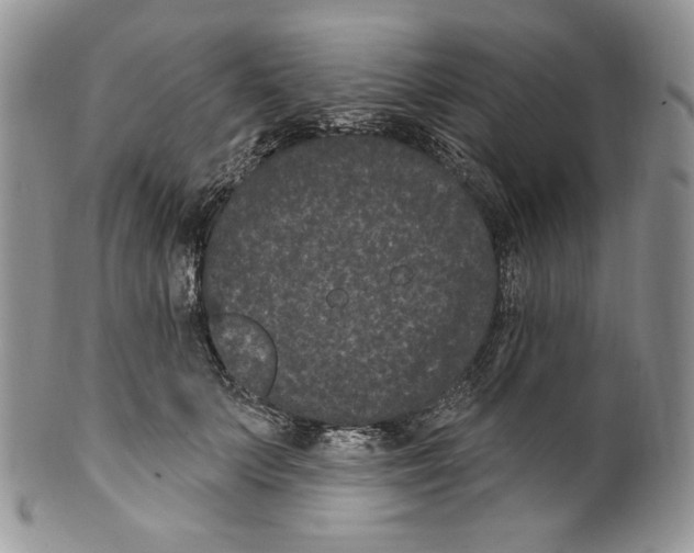 X0000099560703200806131234