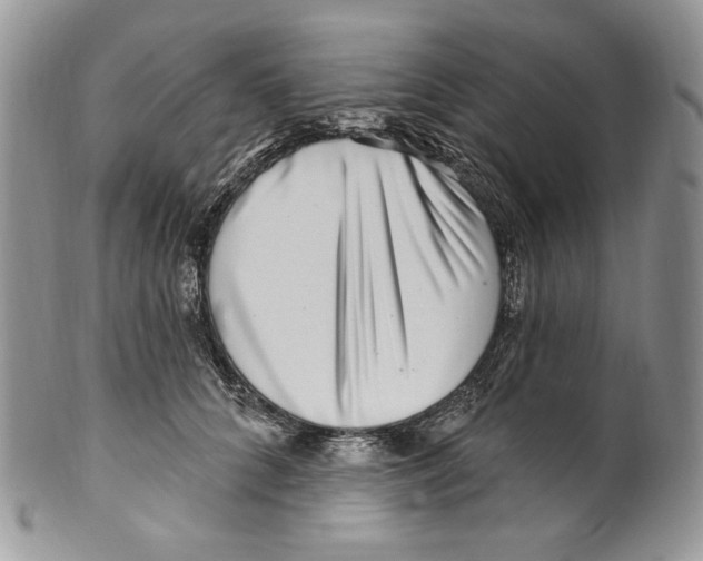 X0000099560704200806131234