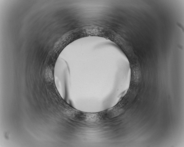 X0000099560705200806131234