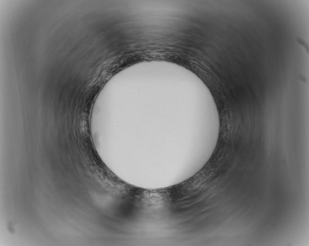 X0000099560706200806131234