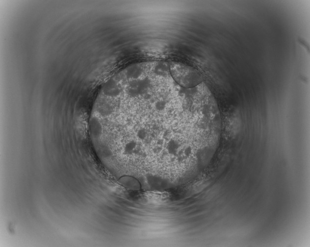 X0000099560707200806131234