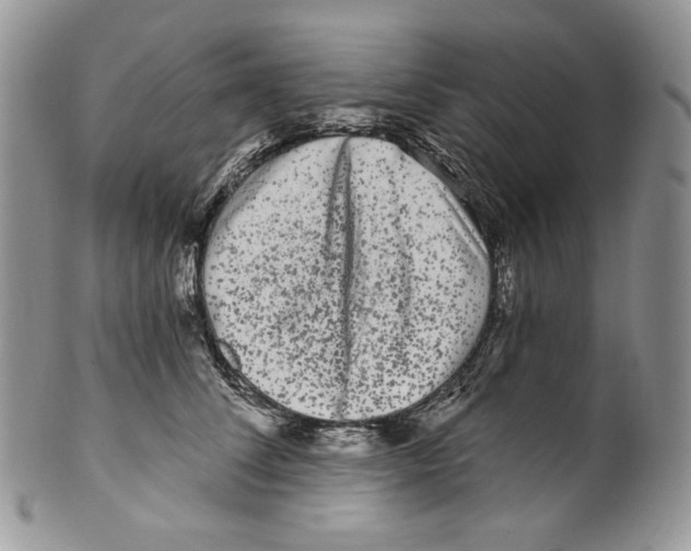 X0000099560708200806131234