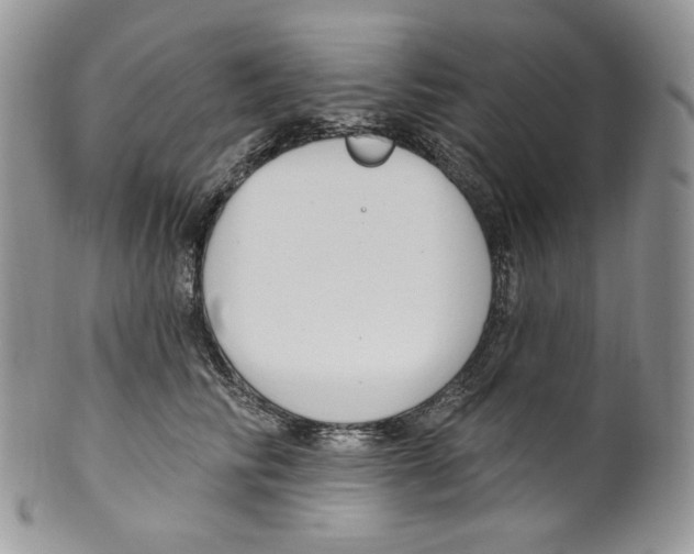 X0000099560710200806131234