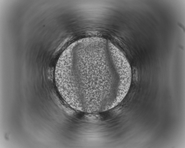 X0000099560712200806131234