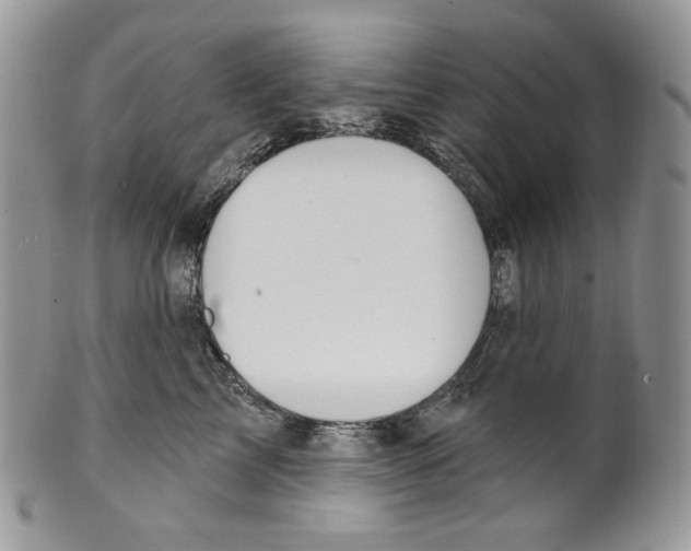 X0000099560713200806131234