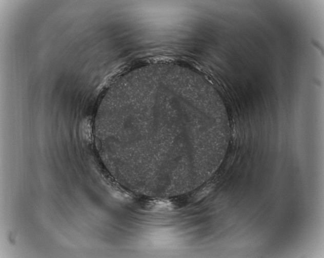 X0000099560715200806131234