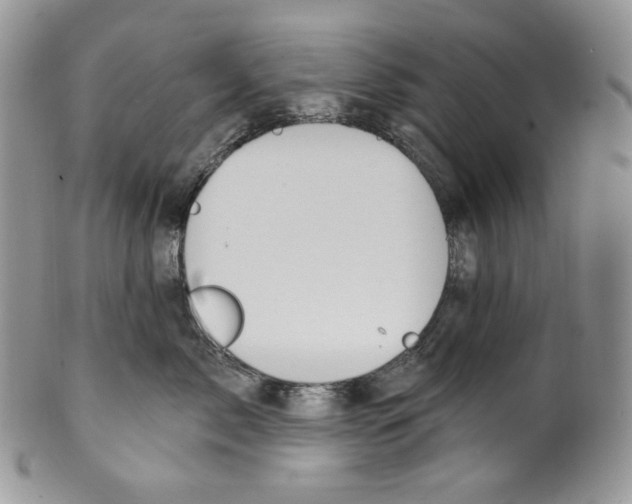 X0000099560717200806131234