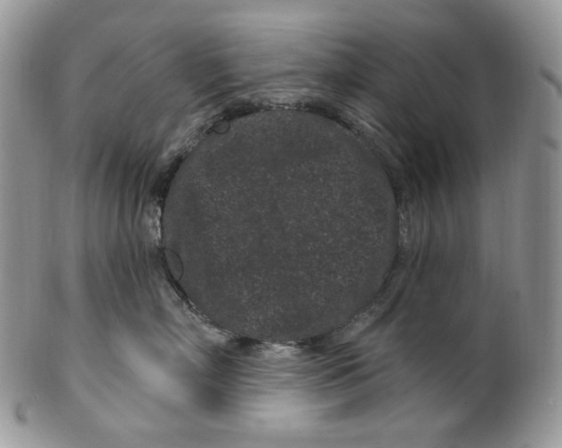 X0000099560718200806131234