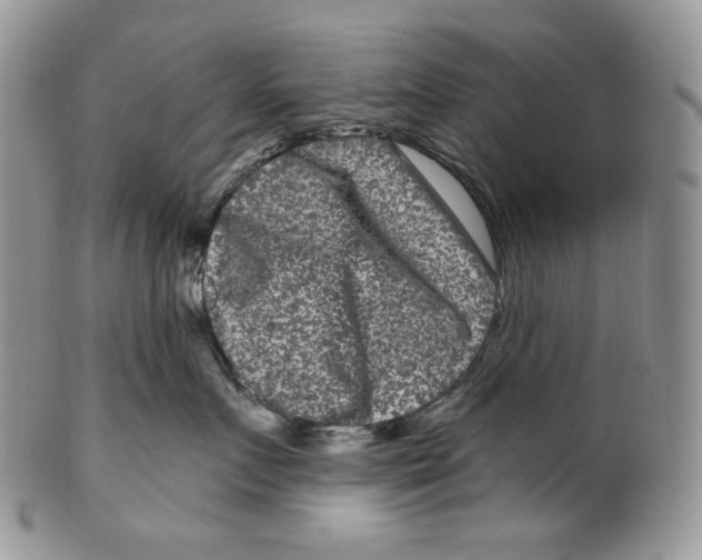 X0000099560719200806131234