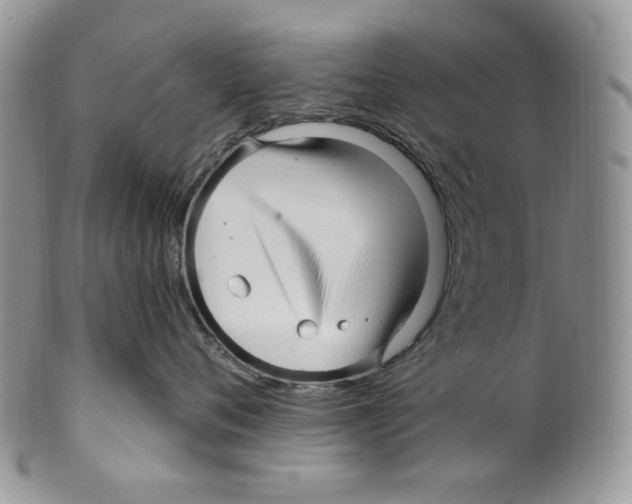 X0000099560720200806131234