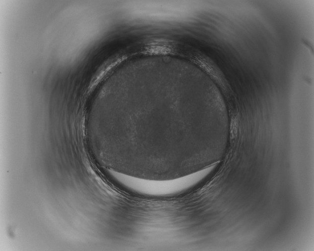 X0000099560722200806131233