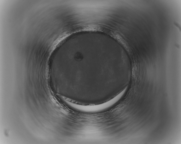 X0000099560724200806131233