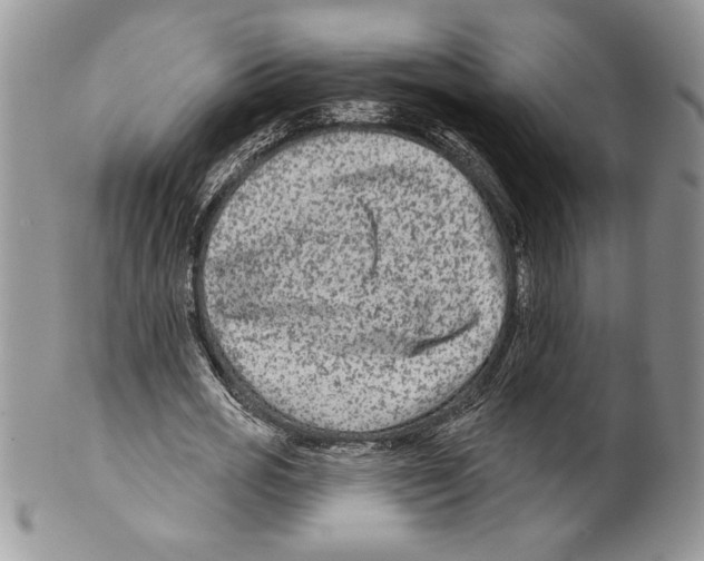 X0000099560725200806131233