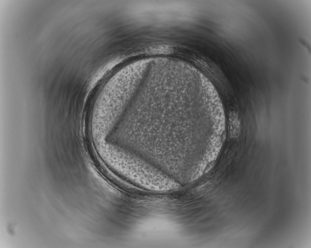 X0000099560726200806131233