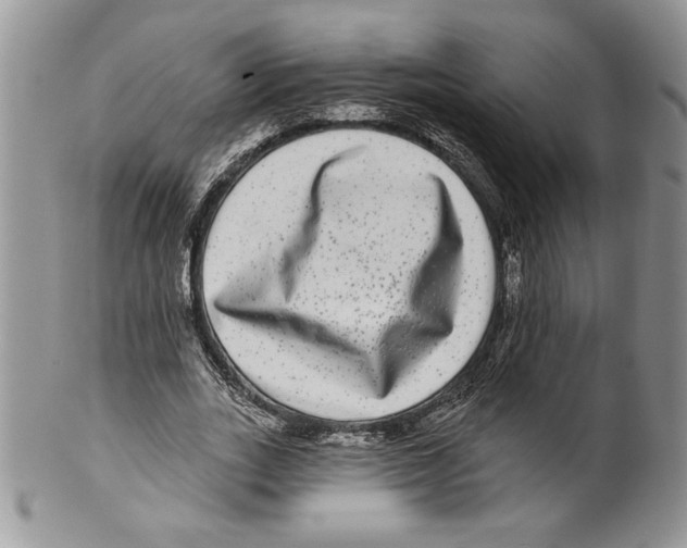 X0000099560727200806131233