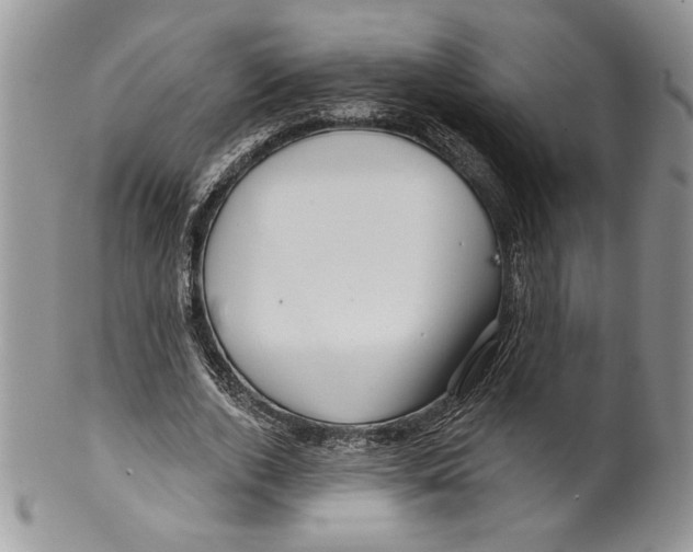 X0000099560728200806131233