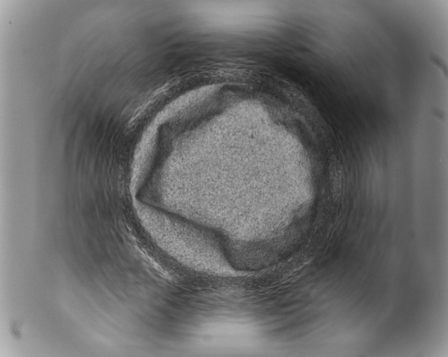 X0000099560729200806131233