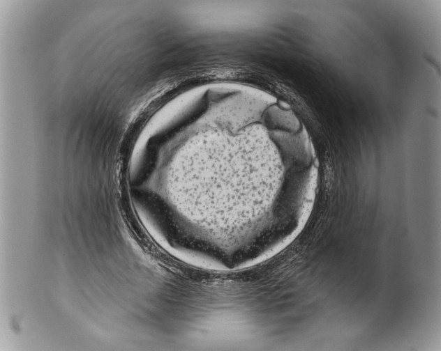 X0000099560730200806131233