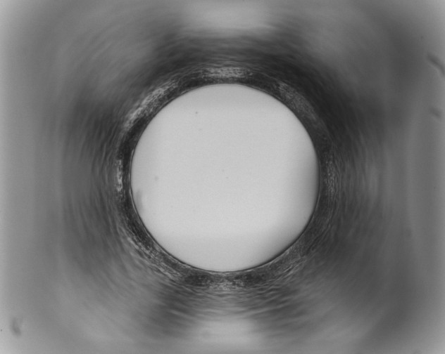 X0000099560731200806131233