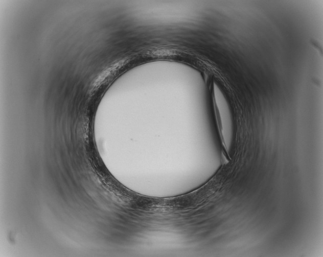 X0000099560732200806131233